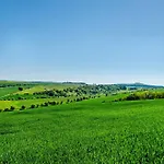 Lavendel * هوفغايزمار
