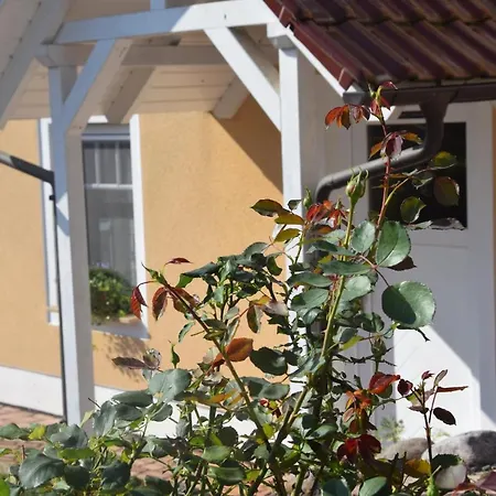 Apartment Lavendel