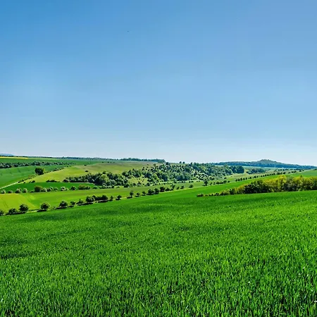 Lavendel * Hofgeismar