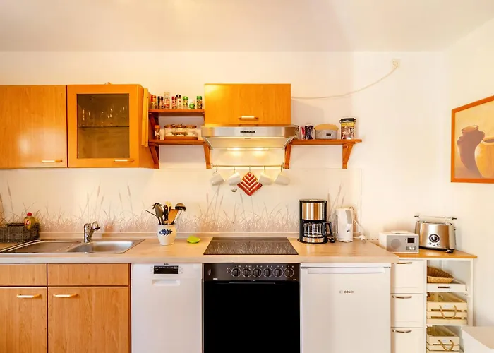 Lavendel * Hofgeismar